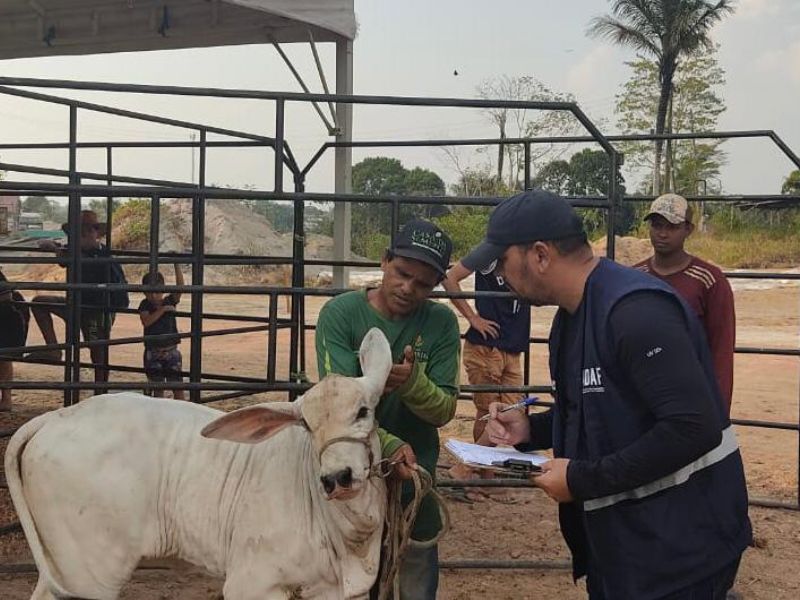 Adaf torna obrigatória vacinação contra raiva dos herbívoros