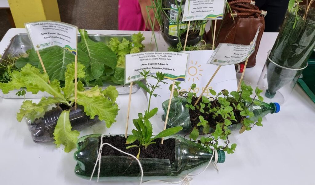 Em Itacoatiara, pesquisa utiliza estratégias para auxiliar alunos na aprendizagem