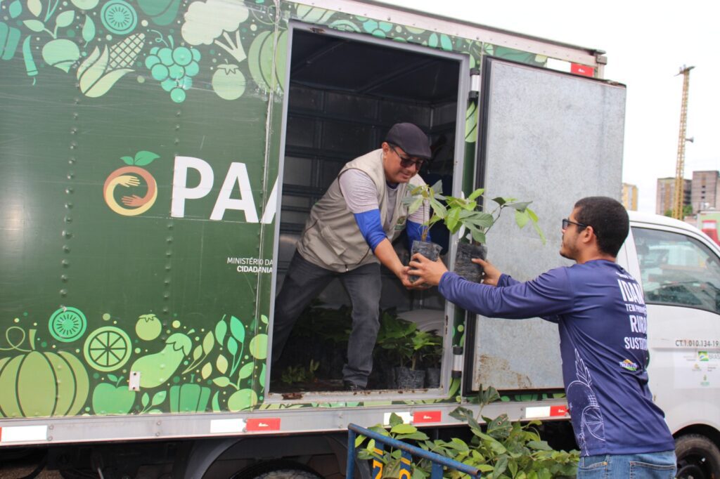 Idam recebe mudas que serão cultivadas em Unidade Demonstrativa