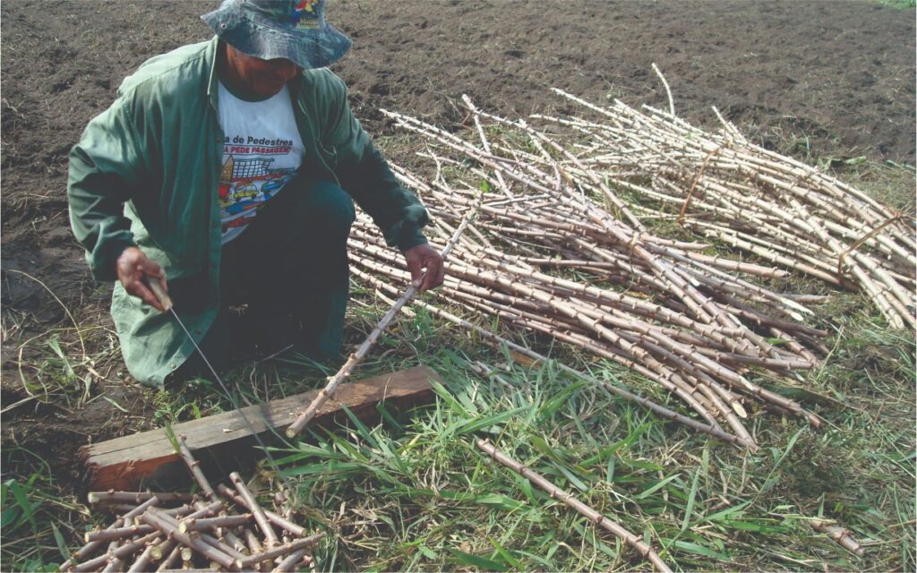 Governo do Amazonas abre inscrições para municípios