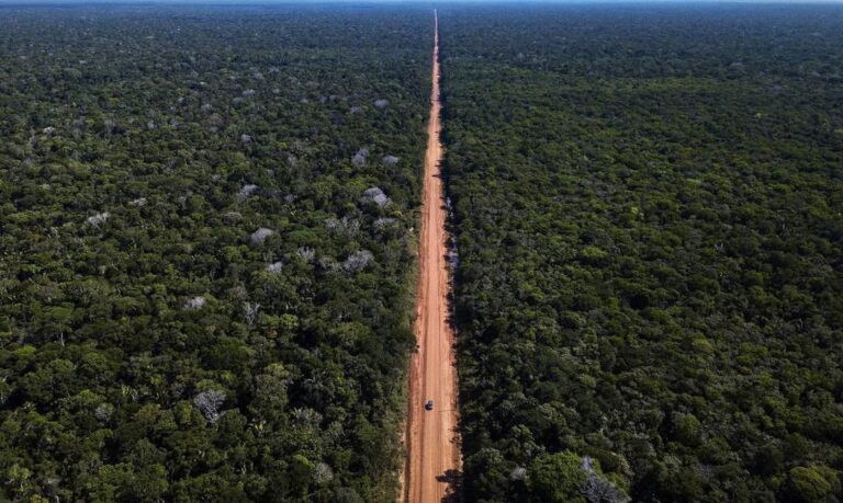 Deputados do Amazonas e Rondônia apresentam projeto que considera BR-319