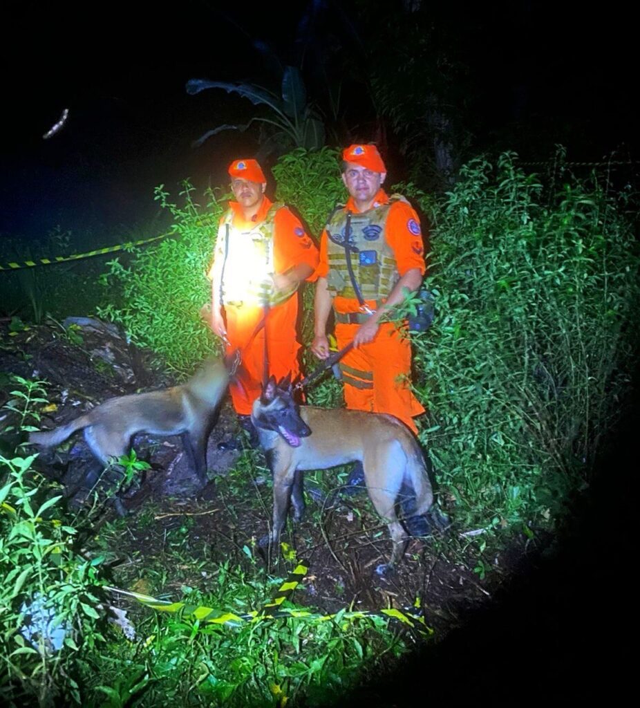 Cães de resgate do Corpo de Bombeiros auxiliaram trabalho de busca por corpo