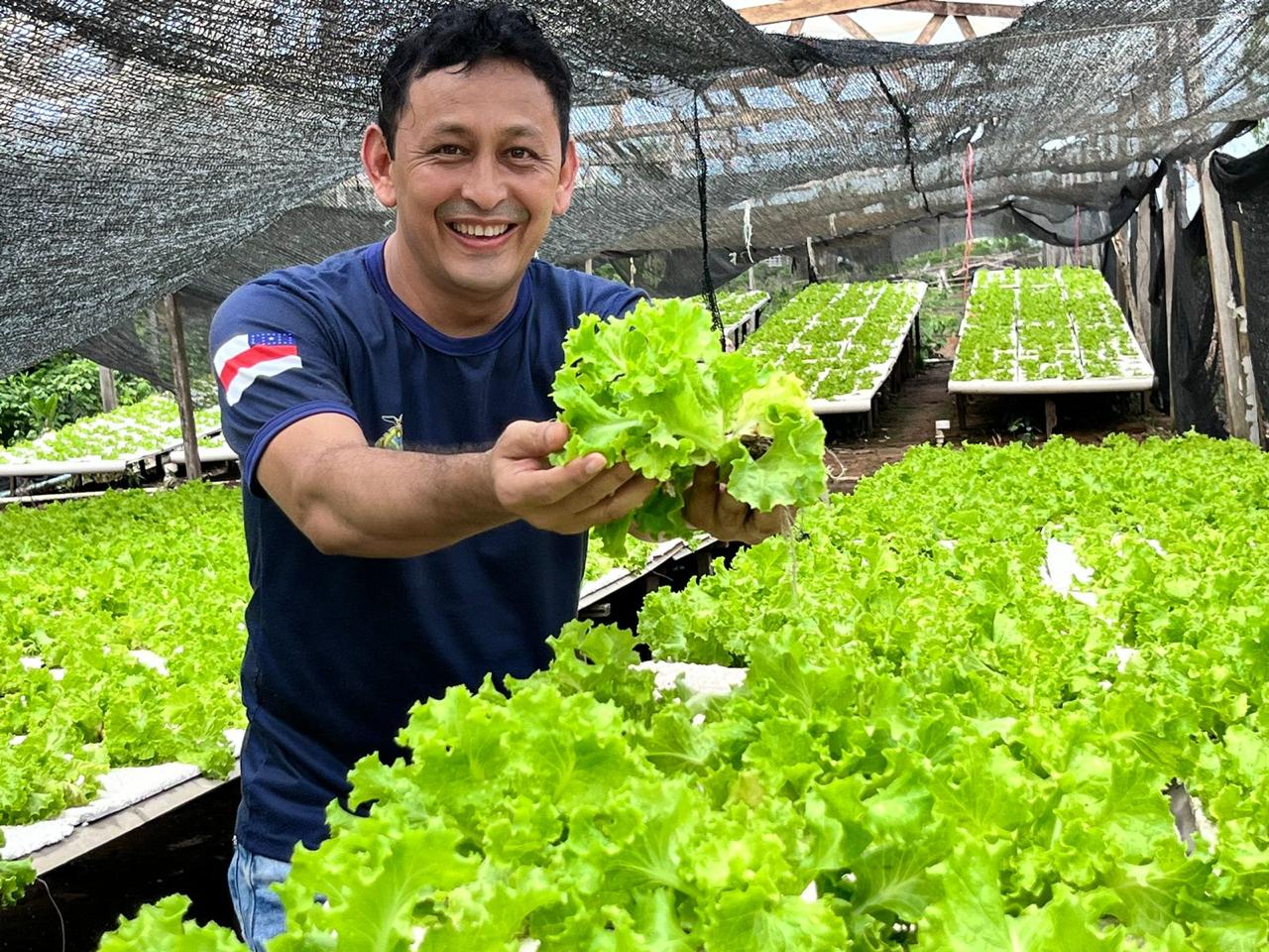 Idam reforça benefícios da hidroponia