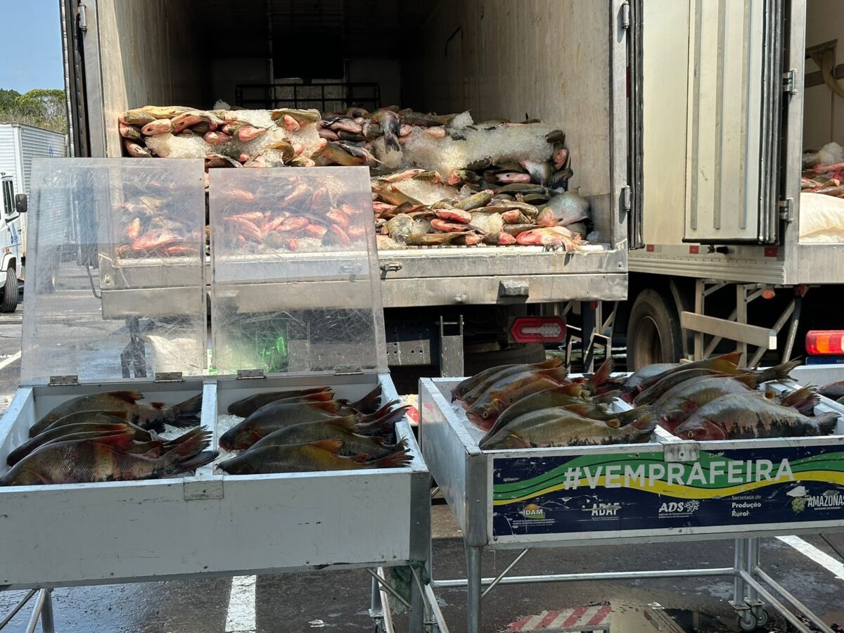 Governo do Amazonas realiza doação de 369 toneladas de pescado