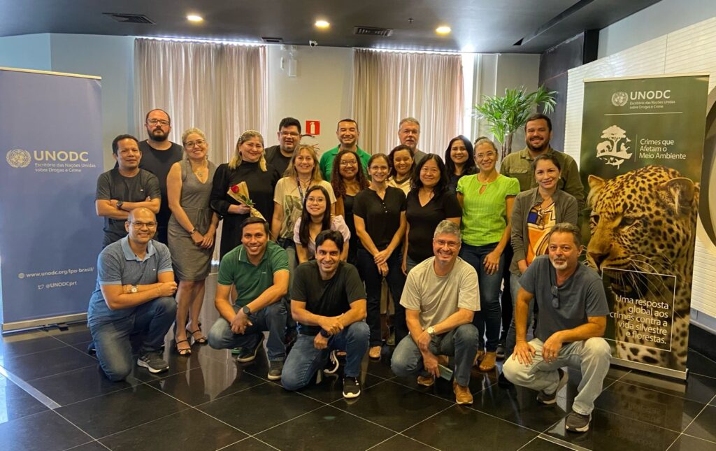 Analistas do Ipaam aprimoram conhecimentos sobre Identificação Anatômica de Madeira