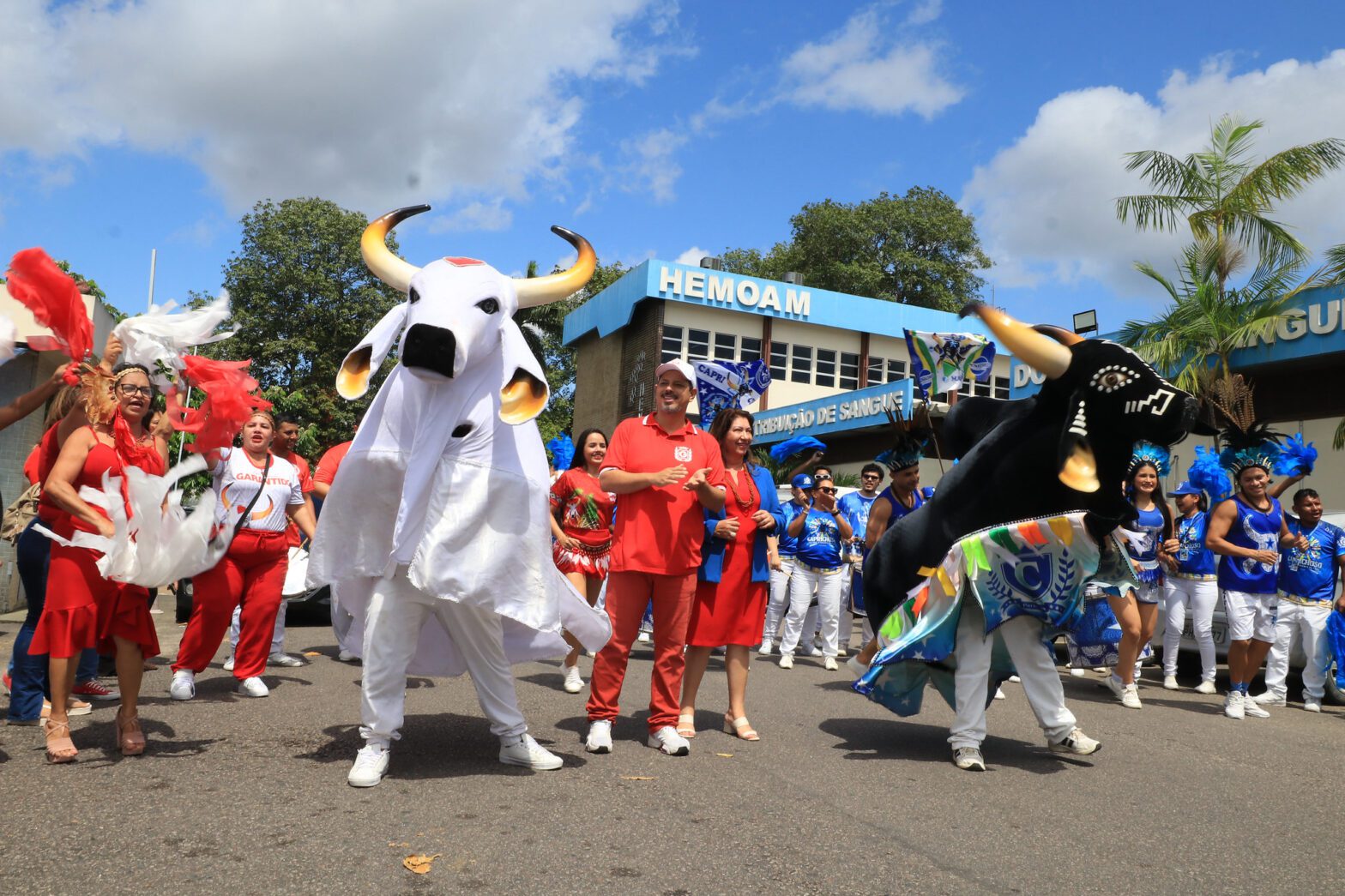 Com bois Caprichoso e Garantido, Hemoam lança p “Junho Azul e Vermelho”