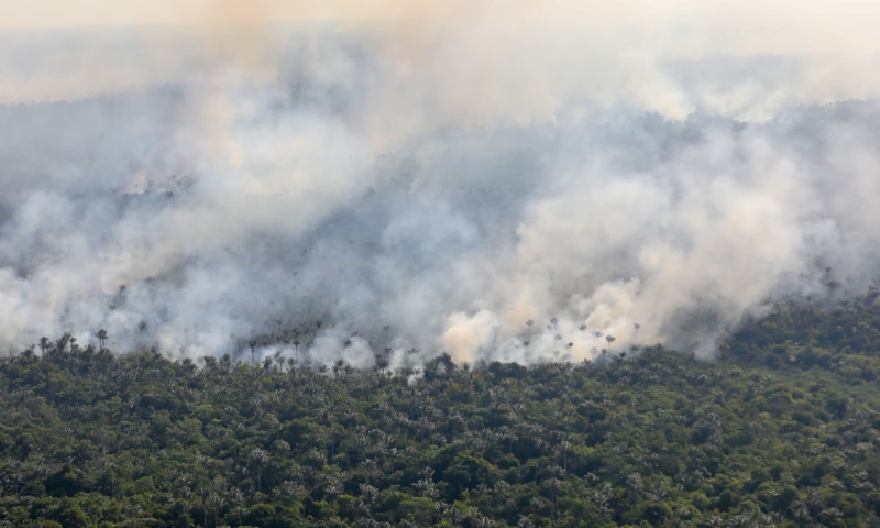 MPAM cobra ações urgentes pelo combate à queimadas
