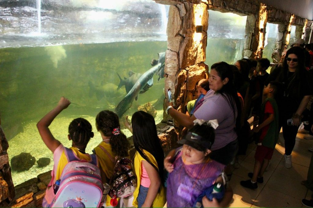 Visita ao zoológico encanta crianças na Colônia de Férias de Centro de Convivência da Família