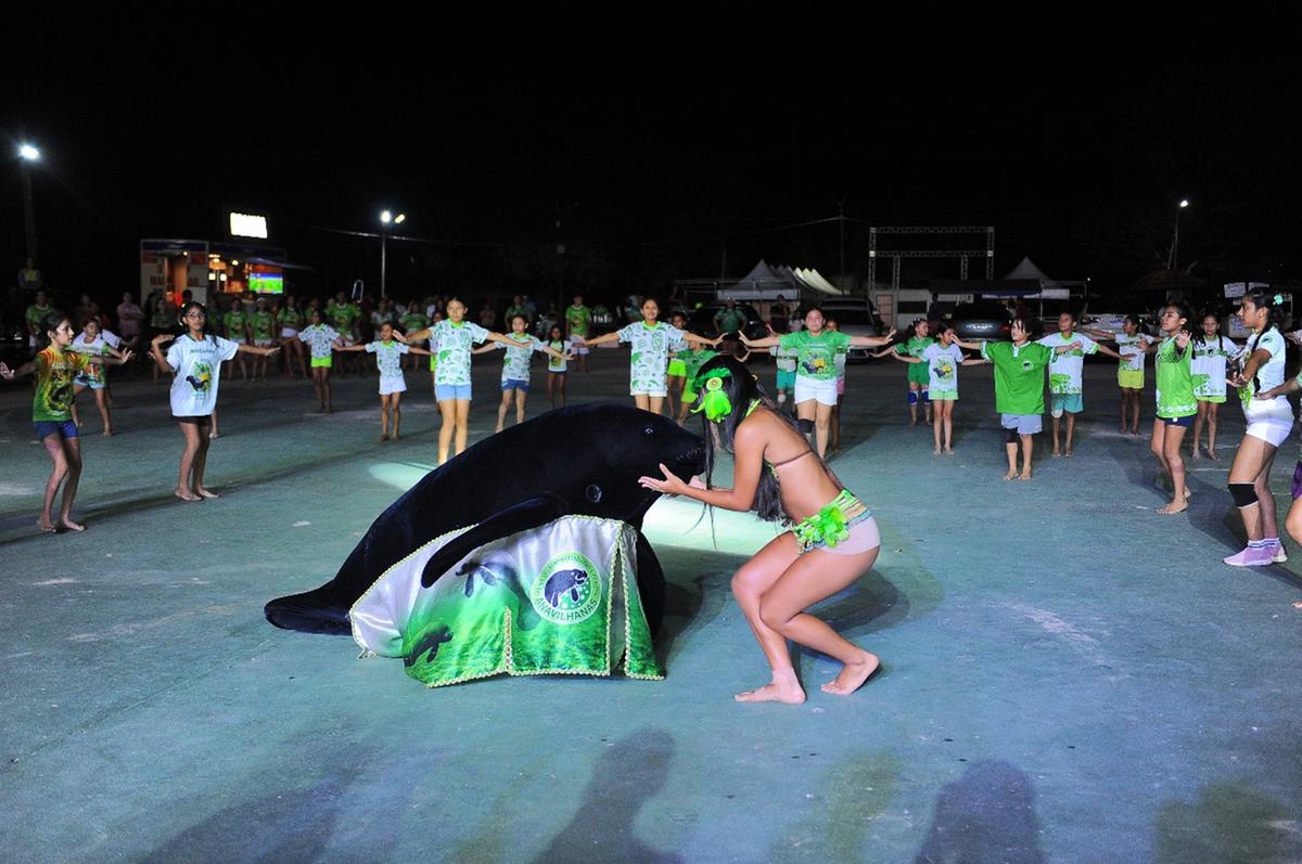 Peixe-boi Anavilhanas realiza ensaio técnico para o XXVI Eco Festival de Novo Airão