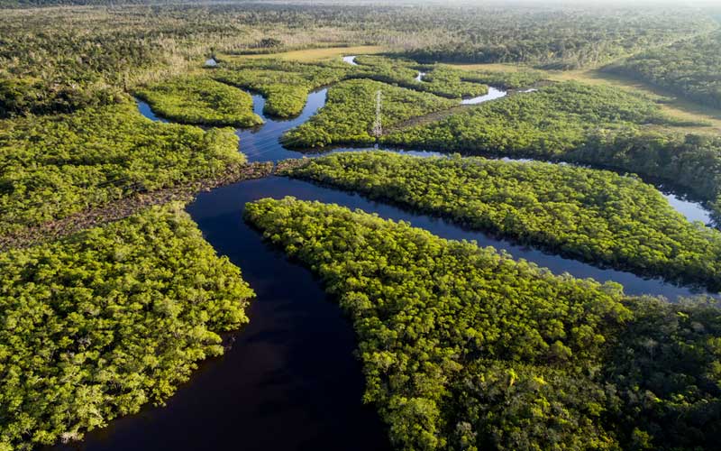 Riqueza invisível: metais raros na Amazônia colocam Brasil no centro de disputa global